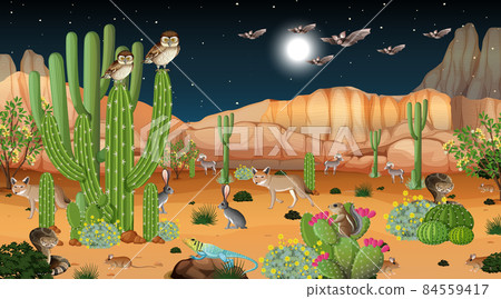 Desert forest landscape at night scene Desert forest landscape at night scene 84559417