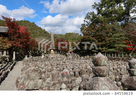 The riverbank of Saiin and the unrelated Buddha group in the precincts of Kashino Nenbutsuji Temple in Saga, Kyoto City The riverbank of Saiin and the unrelated Buddha group in the precincts of Kashino Nenbutsuji Temple in Saga, Kyoto City 84559619