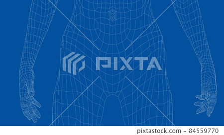Wireframe female abdomen. 3d illustration 84559770