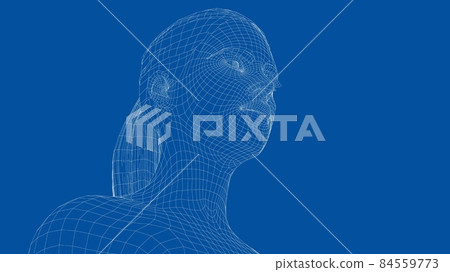 Wireframe portrait of a young beautiful girl Wireframe portrait of a young beautiful girl 84559773