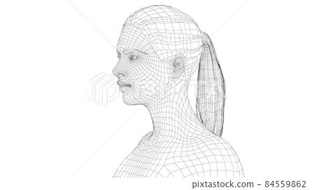 Wireframe portrait of a young beautiful girl 84559862