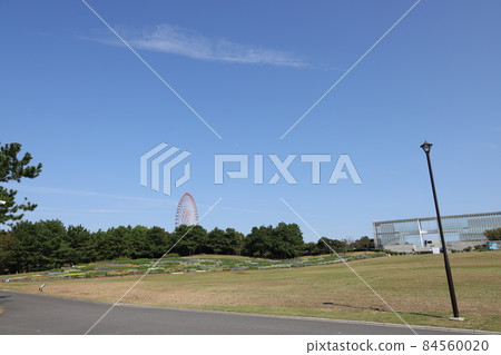 東京江戶川區葛西臨海公園的風景 84560020