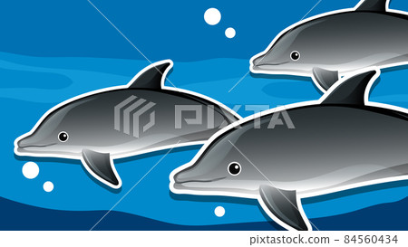 Thumbnail design with dolphin group Thumbnail design with dolphin group 84560434