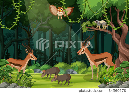 Wild animals in forest landscape background 84560678