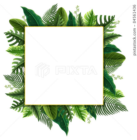 Square frame with tropical green leaves 84561436