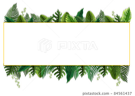 A horizontal frame of tropical foliage template A horizontal frame of tropical foliage template 84561437