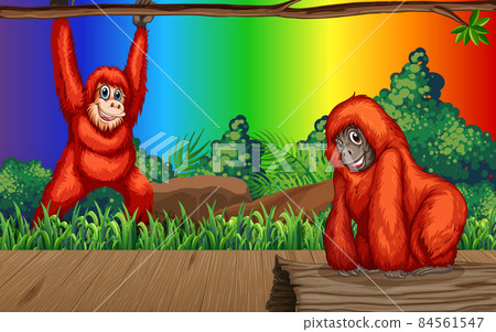 Orangutan cartoon character in the forest on... - Stock Illustration  [84561547] - PIXTA