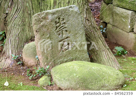 Iidaka Danrin Haunting Stone 84562359