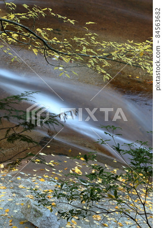 Late autumn mountain stream Graceful autumn (Ehime Prefecture Nametoko Gorge) 84563682