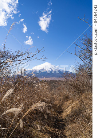 從飯盛山山頂眺望富士山（山中湖的大平山徒步路線） 84564242