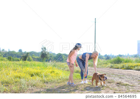 Girl female playing with friend american bulldog running Girl female playing with friend american bulldog running 84564695