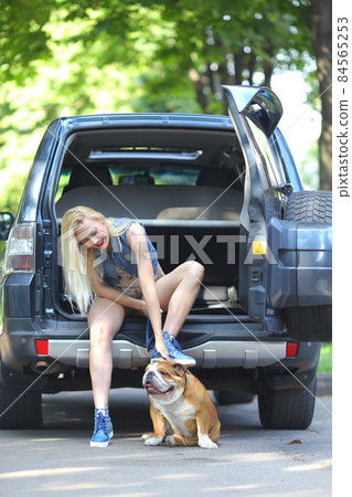 Beautiful female smilling style portrait sitting car american bulldog 84565253