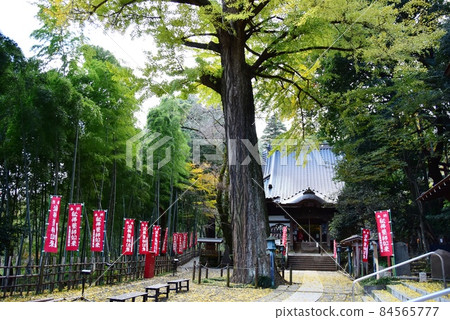 Machida City Yakushiike Park Fukuoji Yakushido (Nozuta Yakushido) and Daiginko 84565777