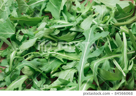 Arugula green leafy vegetable healthy vitamin salad Eruca vesicaria cabbage family on table close-up, food vegetable background Arugula green leafy vegetable healthy vitamin salad Eruca vesicaria cabbage family on table close-up, food vegetable background 84566068