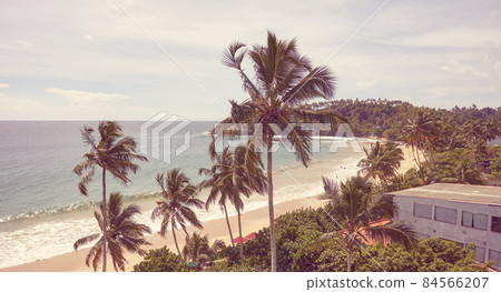 Tropical beach with coconut palm trees and sea view, color toning applied, Sri Lanka. 84566207
