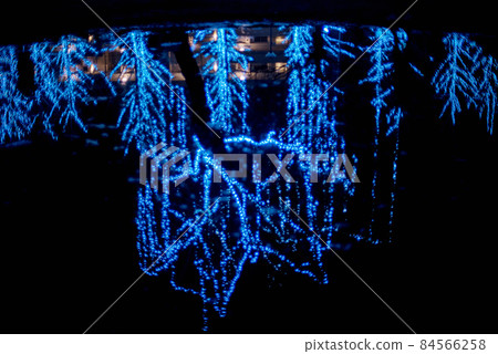 Learning forest illumination 84566258