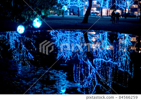 Learning forest illumination 84566259