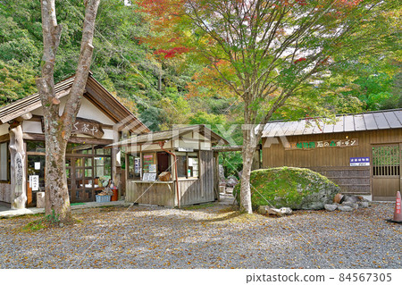 [Haze Botanical Garden] Haze, Iitaka Town, Matsusaka City, Mie Prefecture 84567305