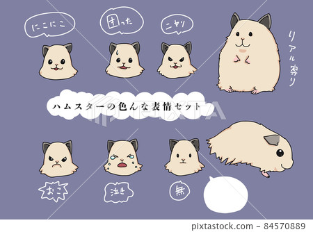 Hamster illustrations Various facial expressions Hamster illustrations Various facial expressions 84570889