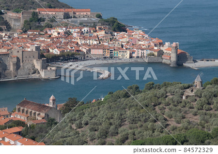 The amazing aerial view over Collioure from Fort Saint Elme surrounded by vineyards, Vermeille coast 84572329