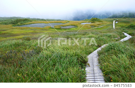 一條穿過托拉奇山頂高沼地的木棧道 一條穿過托拉奇山頂高沼地的木棧道 84575583
