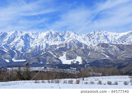 從野平看到的初冬白馬村北阿爾卑斯山 84577340