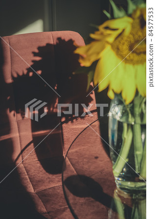 The shadow on the chair in the kitchen from a bouquet of sunflowers. Early morning. Light from the window. The shadow on the chair in the kitchen from a bouquet of sunflowers. Early morning. Light from the window. 84577533