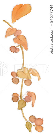 秋天的花朵：開花結果的花粉蝶水彩插圖 84577744