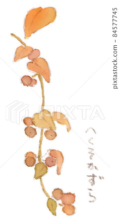 Autumn flowers: watercolor illustration of Paederia foetida bearing fruit Autumn flowers: watercolor illustration of Paederia foetida bearing fruit 84577745
