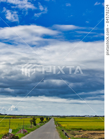 不明飛行物般的雲 不明飛行物般的雲 84578224
