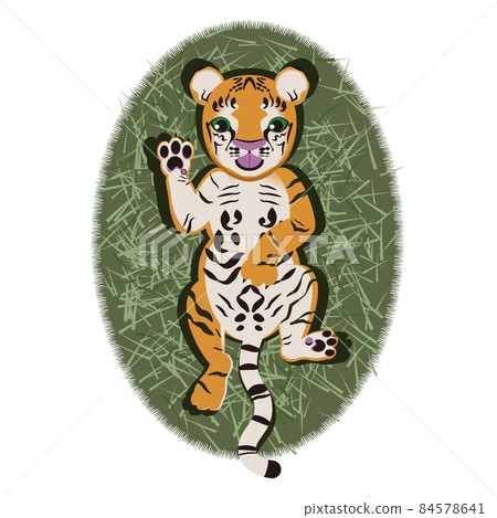 A kid tiger showing his stomach on a grass bed A kid tiger showing his stomach on a grass bed 84578641
