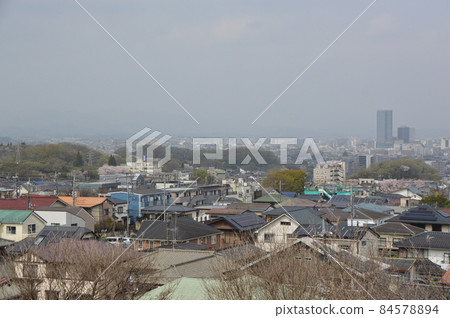 八王子市長沼公園的櫻花 84578894