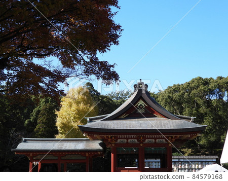 鶴岡八幡宮 84579168