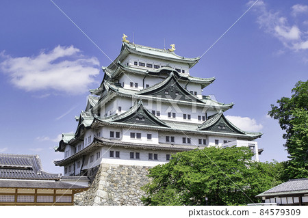 愛知縣名古屋城天守閣 愛知縣名古屋城天守閣 84579309