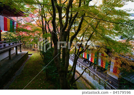 [京都] 善林寺的紅葉（秋季） 84579596