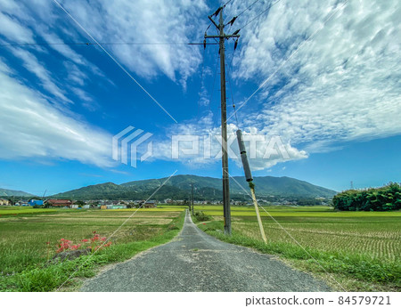 Satoyama scenery-Higashi-Hiroshima City, Hiroshima Prefecture- Satoyama scenery-Higashi-Hiroshima City, Hiroshima Prefecture- 84579721