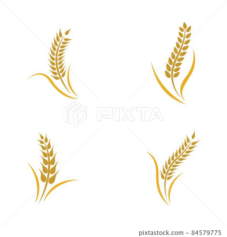 Wheat logo vector icon 84579775