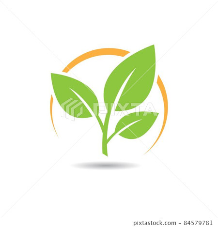 Leaf  logo vector icon 84579781