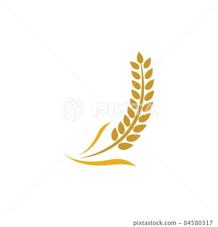 Wheat logo vector icon Wheat logo vector icon 84580317