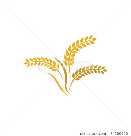Wheat logo vector icon Wheat logo vector icon 84580320