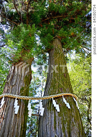 Chichibu Walk: Hijiri Shrine Mikamiki 84580754