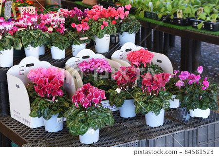 農產品直銷處/路邊站 84581523