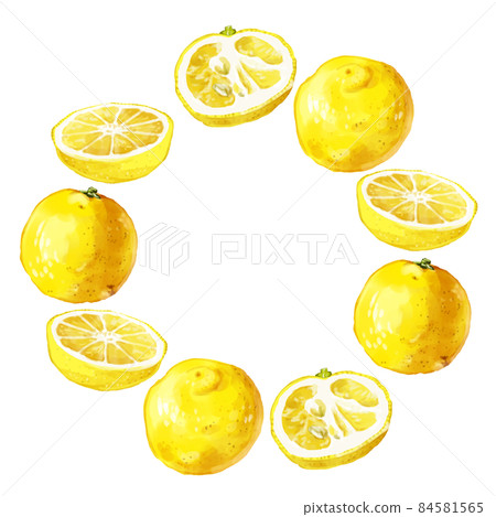 Hand-painted watercolor flower Yuzu - Stock Illustration