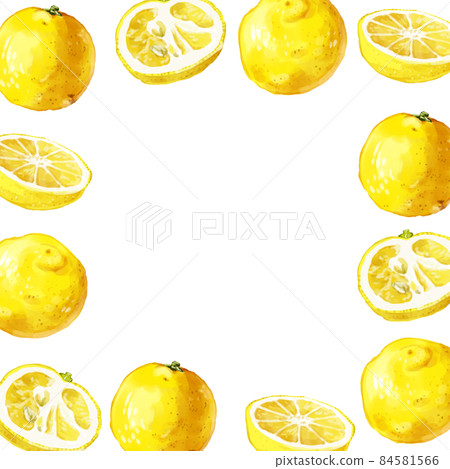 手繪水彩花柚子插畫方框 盒 插圖素材 圖庫