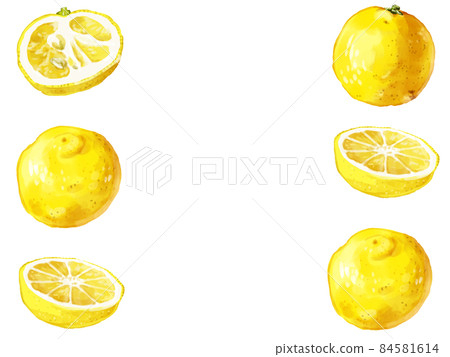 手繪水彩花柚子圖矩形框 左右 插圖素材 圖庫