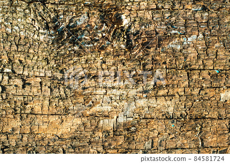Rough texture of natural wood. Rough texture of natural wood. 84581724