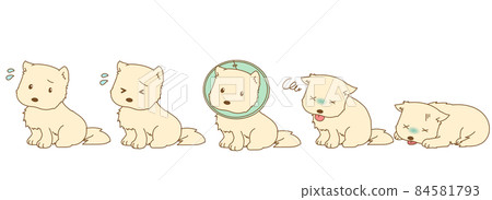 A dog set that looks troubled, sick, and sick 84581793