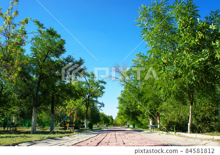 City green park at daytime. 84581812