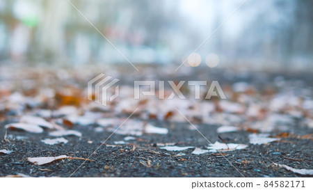 Autumn weather in an urban environment. 84582171