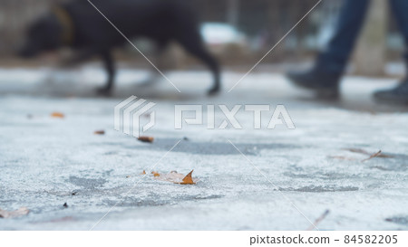 Street in the rainy season. Street in the rainy season. 84582205